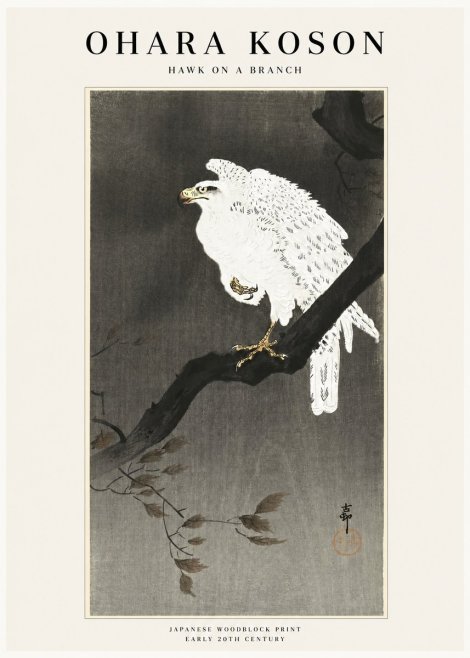 Ohara Koson Hawk on a Branch II No1 - Juliste
