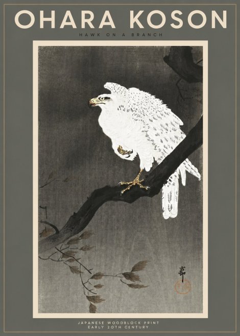 Ohara Koson Hawk on a Branch II No2 - Juliste
