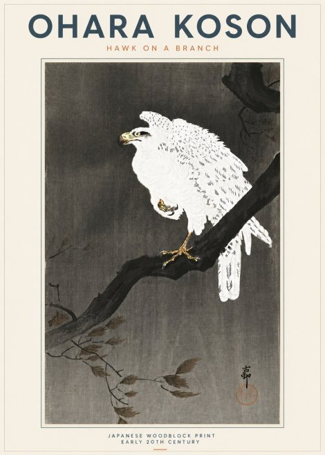 Ohara Koson Hawk on a Branch II No5 - Juliste