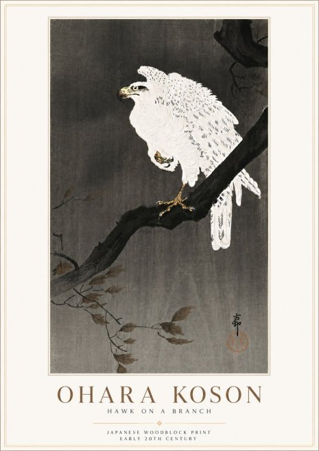 Ohara Koson Hawk on a Branch II No6 - Juliste