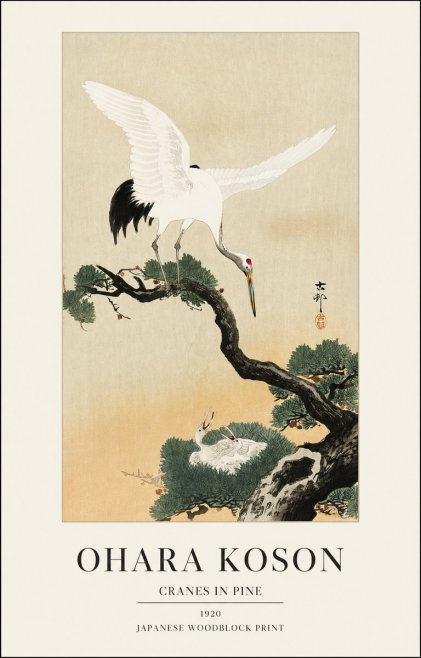 Ohara Koson Cranes in Pine No1 - Juliste