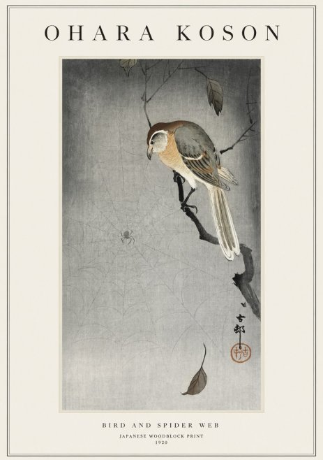 Ohara Koson Bird and Spider Web II No1 - Juliste