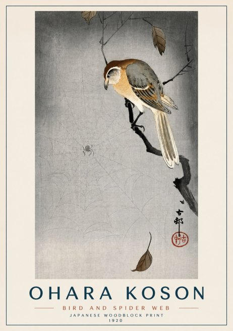 Ohara Koson Bird and Spider Web II No3 - Juliste