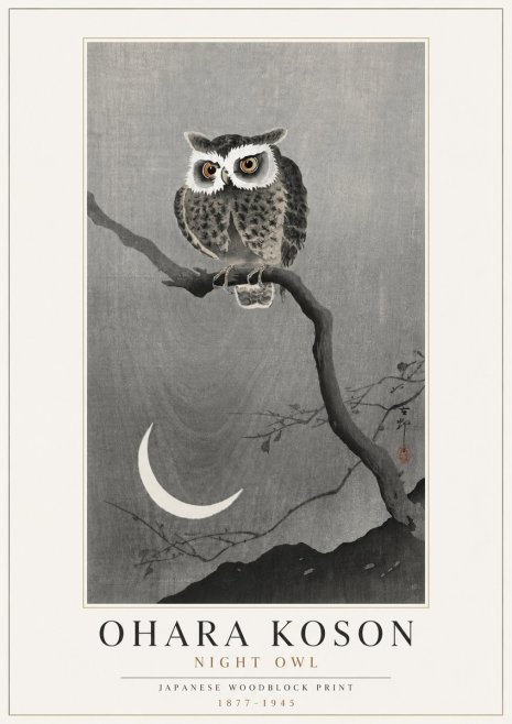 Ohara Koson Night Owl No4 - Juliste