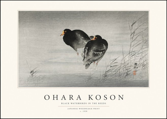 Ohara Koson Black Waterbirds in the Reeds No1 - Juliste