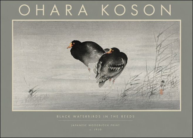 Ohara Koson Black Waterbirds in the Reeds No2 - Juliste