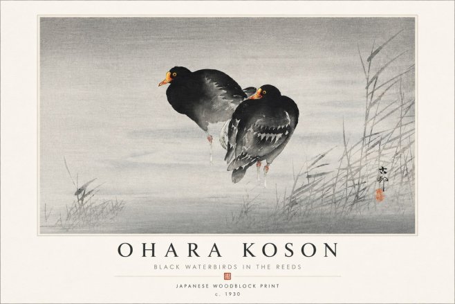 Ohara Koson Black Waterbirds in the Reeds No4 - Juliste