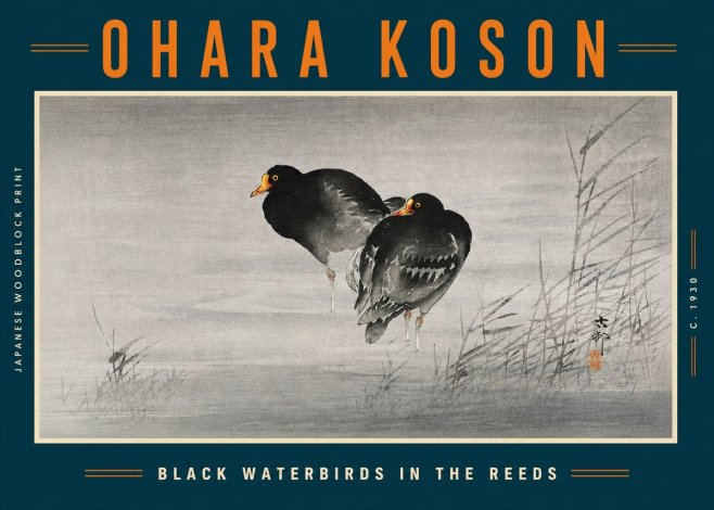 Ohara Koson Black Waterbirds in the Reeds No5 - Juliste