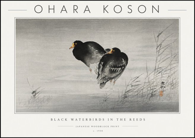 Ohara Koson Black Waterbirds in the Reeds No6 - Juliste