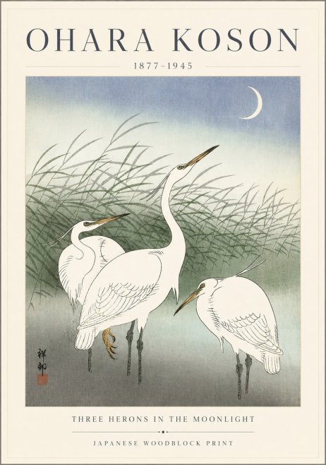 Ohara Koson Three Herons in the Moonlight No3 - Juliste