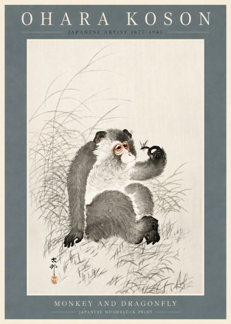 Ohara Koson Monkey and Dragonfly No2 - Juliste