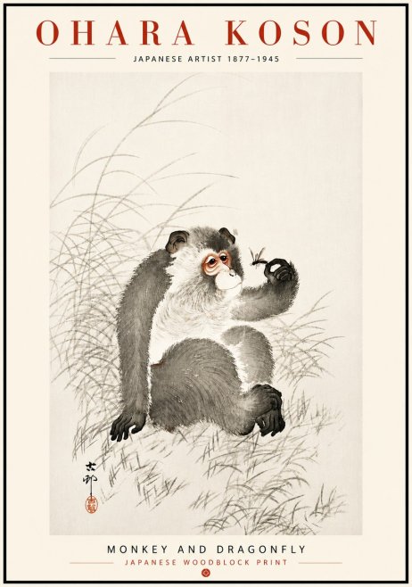 Ohara Koson Monkey and Dragonfly No6 - Juliste