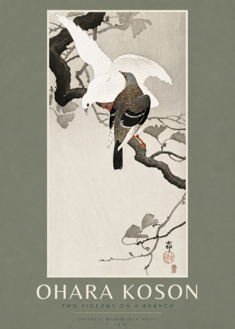 Ohara Koson Two Pigeons on a Branch No2 - Juliste