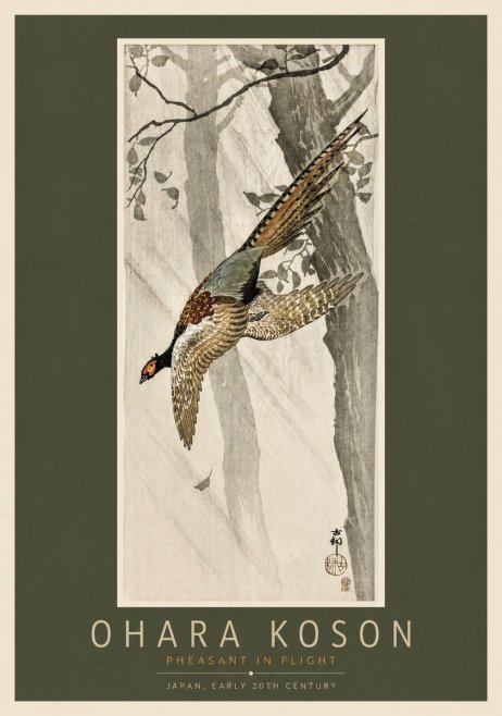 Ohara Koson Pheasant in Flight No2 - Juliste
