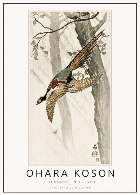 Ohara Koson Pheasant in Flight No4 - Juliste