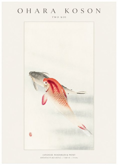 Ohara Koson Two Koi II No1 - Juliste