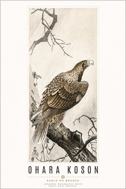 Ohara Koson Eagle on Branch No3 - Juliste