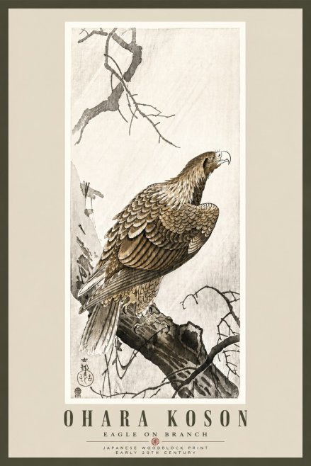 Ohara Koson Eagle on Branch No5 - Juliste