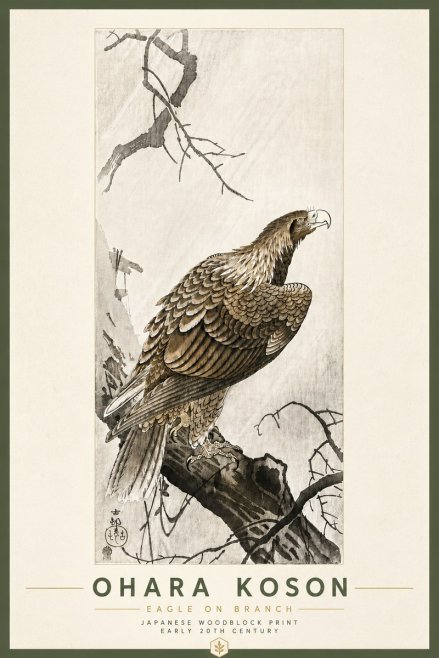 Ohara Koson Eagle on Branch No6 - Juliste