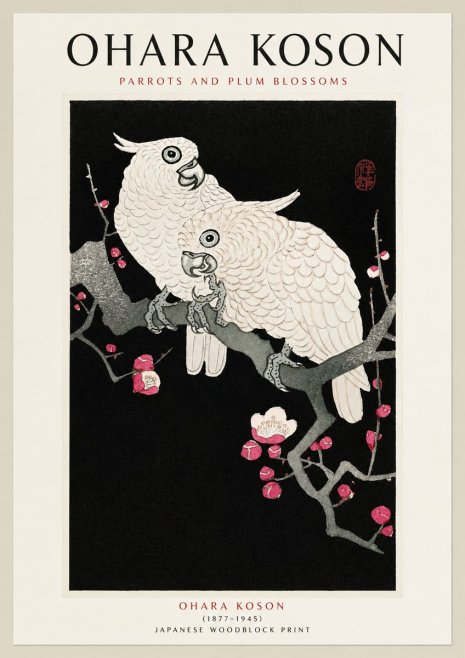 Ohara Koson Parrots and Plum Blossoms No1 - Juliste