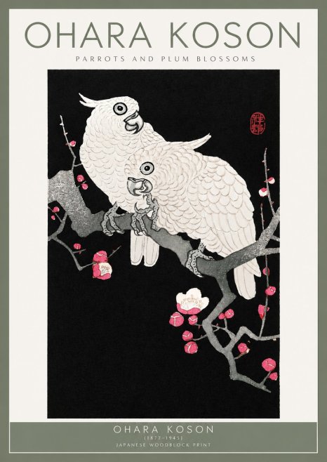 Ohara Koson Parrots and Plum Blossoms No2 - Juliste
