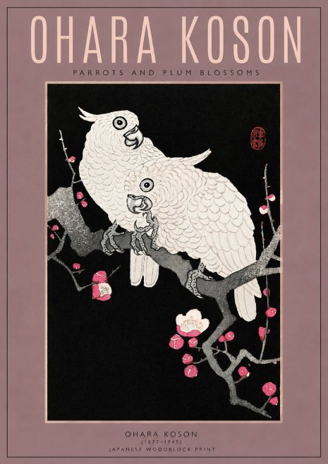Ohara Koson Parrots and Plum Blossoms No3 - Juliste