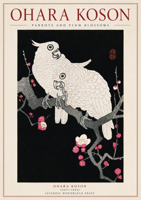 Ohara Koson Parrots and Plum Blossoms No5 - Juliste