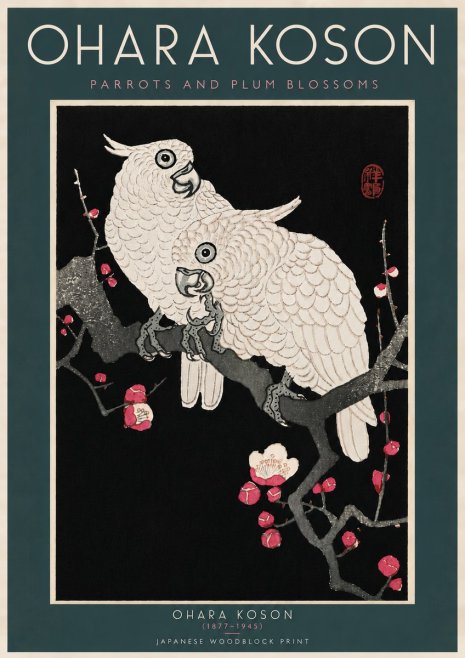 Ohara Koson Parrots and Plum Blossoms No6 - Juliste