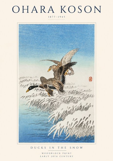 Ohara Koson Ducks in the Snow No1 - Juliste