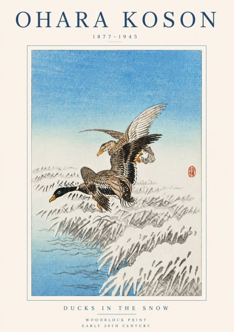 Ohara Koson Ducks in the Snow No3 - Juliste