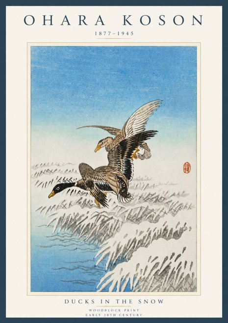 Ohara Koson Ducks in the Snow No4 - Juliste