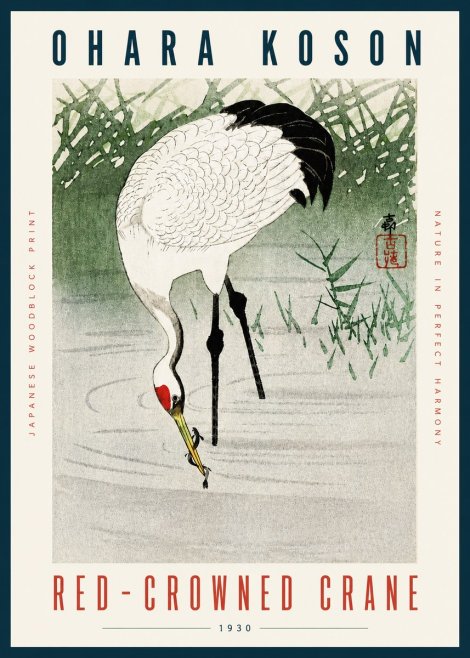 Ohara Koson Red-crowned Crane No4 - Juliste