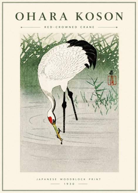 Ohara Koson Red-crowned Crane No5 - Juliste