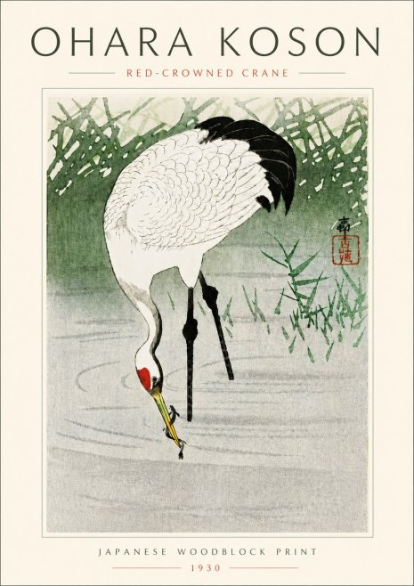 Ohara Koson Red-crowned Crane No6 - Juliste