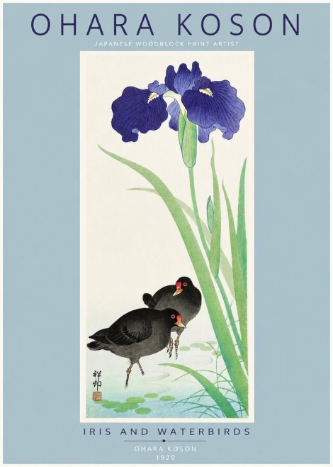 Ohara Koson Iris and Waterbirds No2 - Juliste