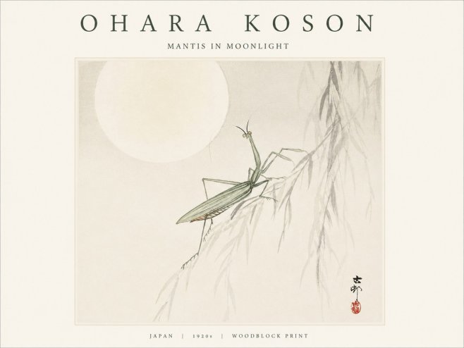 Ohara Koson Mantis in Moonlight No1 - Juliste
