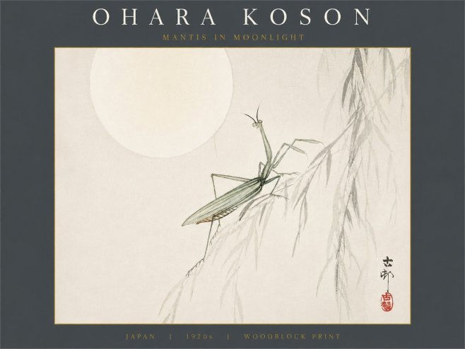 Ohara Koson Mantis in Moonlight No6 - Juliste