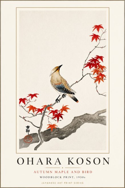 Ohara Koson Autumn Maple and Bird No3 - Juliste