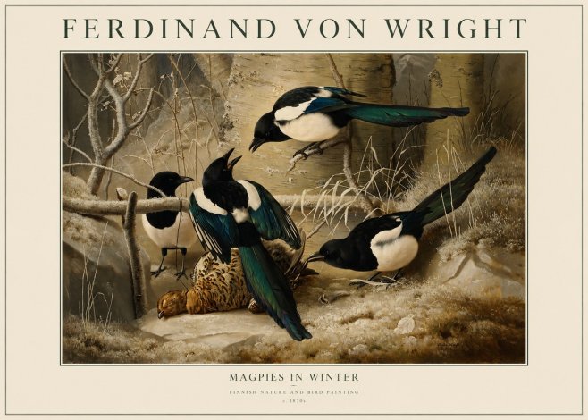 Ferdinand von Wright Magpies in Winter No1 - Juliste