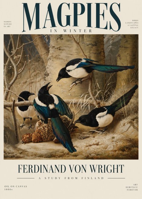 Ferdinand von Wright Magpies in Winter No6 - Juliste