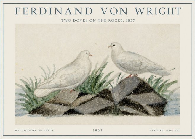 Ferdinand von Wright Two Doves on the Rocks, 1837 No1 - Juliste