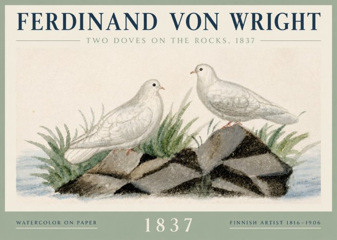 Ferdinand von Wright Two Doves on the Rocks, 1837 No3 - Juliste