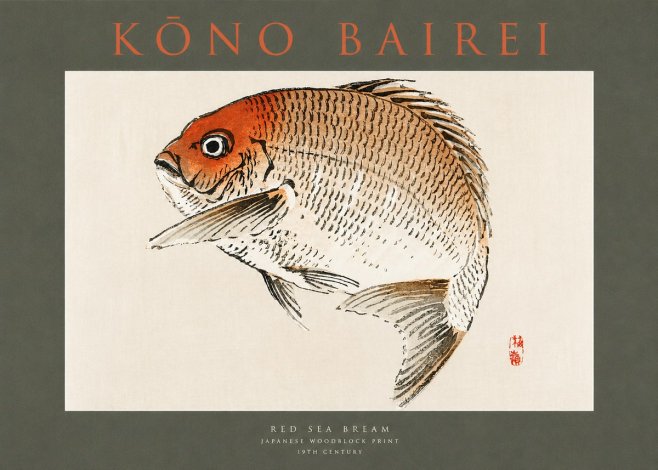 Kōno Bairei Red Sea Bream No2 - Juliste