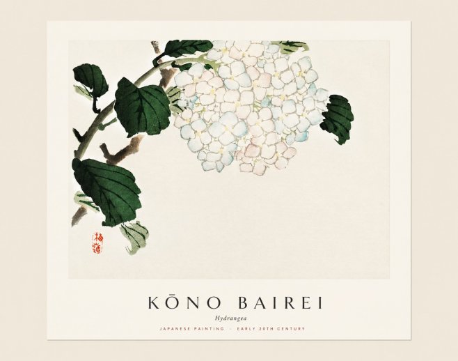 Kōno Bairei Hydrangea No1 - Juliste