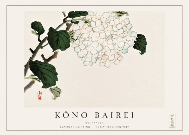 Kōno Bairei Hydrangea No3 - Juliste