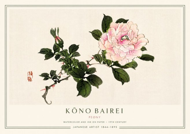 Kōno Bairei Peony I No3 - Juliste