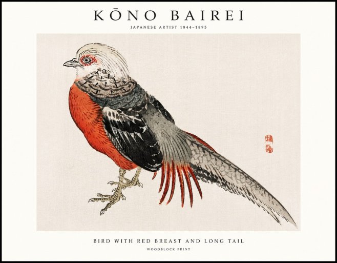 Kōno Bairei Bird with Red Breast and Long Tail No1 - Juliste
