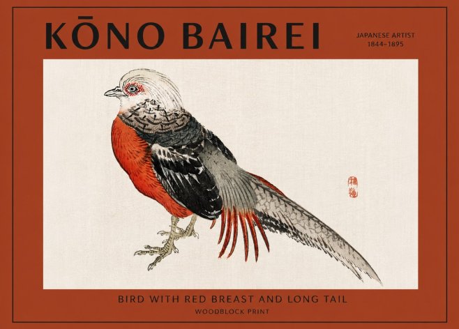 Kōno Bairei Bird with Red Breast and Long Tail No2 - Juliste