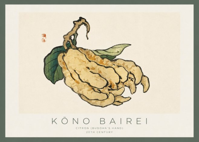 Kōno Bairei Citron (Buddha's Hand) No2 - Juliste