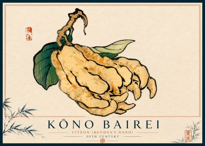 Kōno Bairei Citron (Buddha's Hand) No4 - Juliste